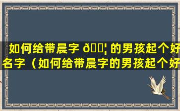 如何给带晨字 🐦 的男孩起个好名字（如何给带晨字的男孩起个好名字大全）